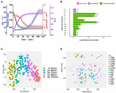 Proteolysis modification targeting protein corona affects ultrasound-induced membrane homeostasis of saccharomyces cerevisiae: Analysis of lipid relative contributions on membrane properties